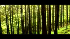 民乐群星 - 锦上添花 古筝版