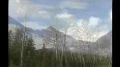 民乐群星 - 希望 古筝版