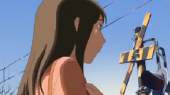 樱花纷飞,又是想你的季节