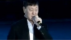 韩磊 - 我爱你中国