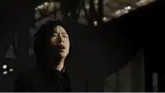 像青春一样怒放