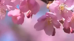 Beyond The Sundial 跨越日光