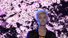 What Is Love SJC 主-鹿晗 饭拍版 13/03/30