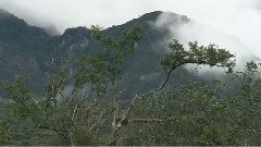 风景,音乐短片 - 马来西亚