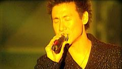 张学友 - 她来听我的演唱会