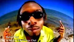 Who Let The Dogs Out