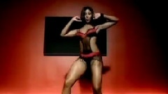 Pitbull - Ludacris Shake Senora