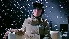 花无雪