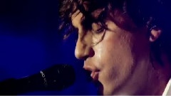 Live In Cartoon Motion