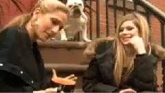 What The Hell & Wish You Were Here