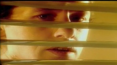 Private Investigations