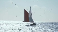 Beirut - The Rip Tide