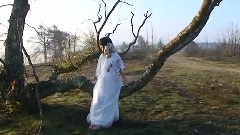 Kokohadoko 撮影风景映像