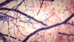 Aspidistrafly - Landscape With A Fairy