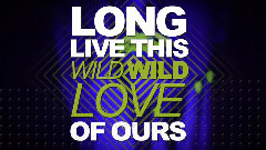 Wild Wild Love