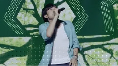 イミテーションの木