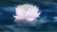 <最终流放银翼之法姆>