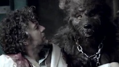 The Yeah Yeah Yeah Song