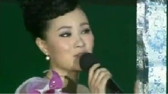 第六届中国国际动漫节开幕式