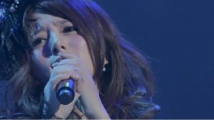 JAPAN PREMIUM BEST & MORE LIVE