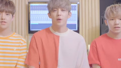 Seventeen Love&Letter 后续专辑采访