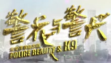 电视剧《警花与警犬》片头曲