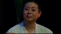 豫剧 - 现代豫剧精选-女婿2