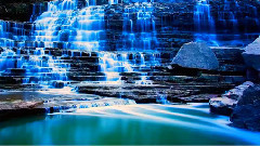 四千金 风儿踢踏踩