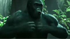 新片速递 电影<泰山归来:险战丛林>中文电视宣传片呼吸