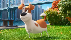 电影<爱宠大机密>预告