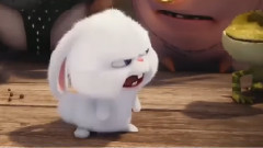 新片速递<爱宠大机密>制作特辑之剧情篇