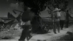 豫剧 - 人欢马叫5