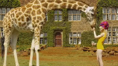 Petite Meller - Baby Love