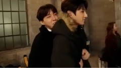 大家都爱郑号锡 all小仙子 彩蛋