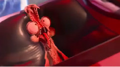 新片速递 电影<冰川时代5:星际碰撞>精彩片段.