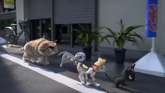 '黒い猫の歌'コラボ映像～