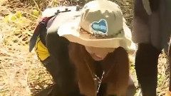 偶吧从椰子树上滑落 Yuri笑翻