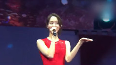 德寿宫石墙路的春天