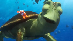 电影<海底总动员2:多莉去哪儿> 片段之Totally Sick