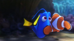 电影<海底总动员2:多莉去哪儿> 片段1:Jewel Of Morro Bay California