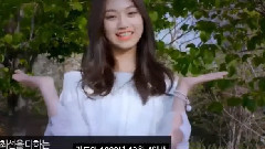 综艺 & 现场 & CF合集