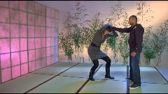 Defense Contre Saisie Des Cheveux