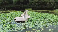 今天也晴朗(Clean)