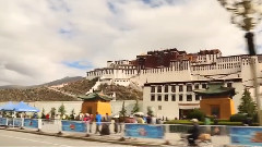 前世今生的缘分