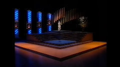 泪を抱いた渡り鸟