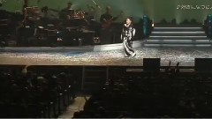 好きになった人