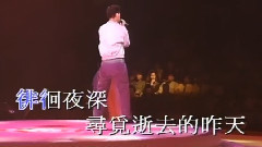 张学友 - 忘情冷雨夜