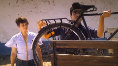 Virgem Suta - Linhas Cruzadas