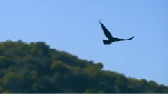 Natalia Kills - Love, Kills xx - Episode 9