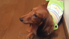 金曜日のゆかるん動画☆88